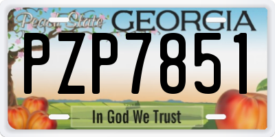 GA license plate PZP7851