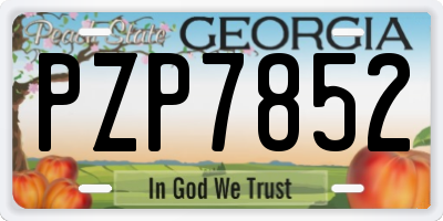 GA license plate PZP7852