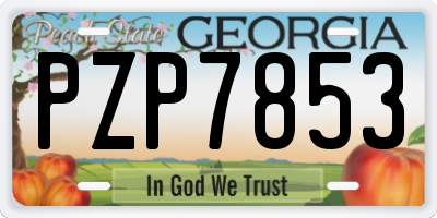GA license plate PZP7853