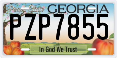 GA license plate PZP7855