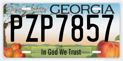 GA license plate PZP7857