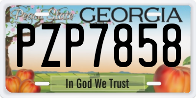 GA license plate PZP7858