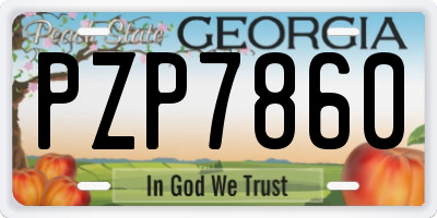 GA license plate PZP7860