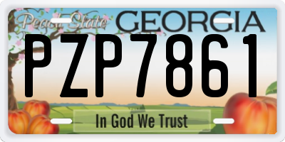 GA license plate PZP7861