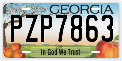 GA license plate PZP7863