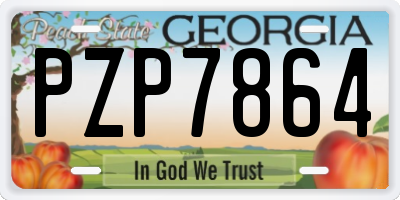GA license plate PZP7864
