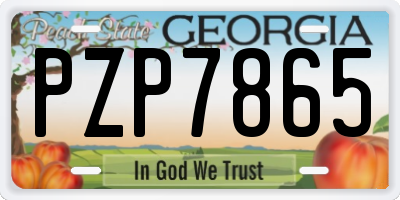 GA license plate PZP7865
