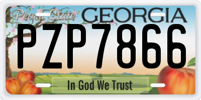 GA license plate PZP7866