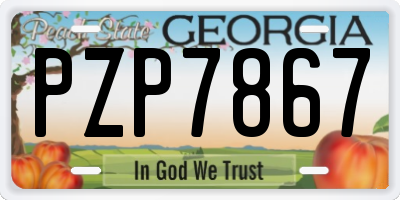 GA license plate PZP7867