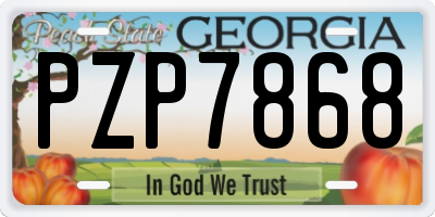 GA license plate PZP7868