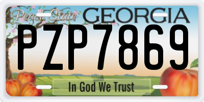 GA license plate PZP7869