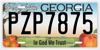 GA license plate PZP7875