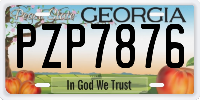 GA license plate PZP7876