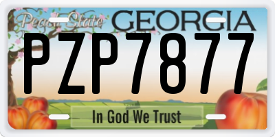 GA license plate PZP7877