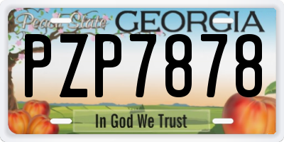GA license plate PZP7878