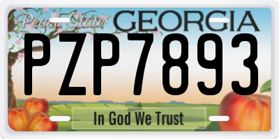 GA license plate PZP7893