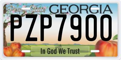 GA license plate PZP7900