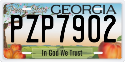 GA license plate PZP7902