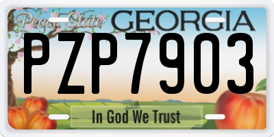 GA license plate PZP7903