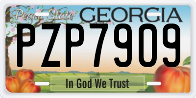 GA license plate PZP7909