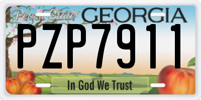 GA license plate PZP7911