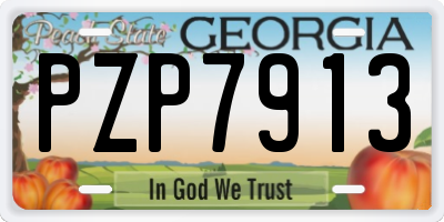 GA license plate PZP7913