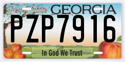 GA license plate PZP7916