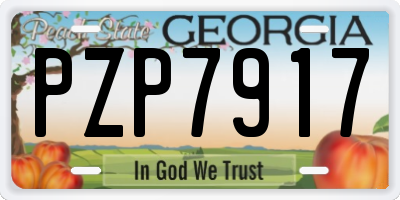 GA license plate PZP7917