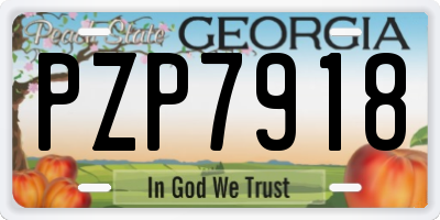 GA license plate PZP7918