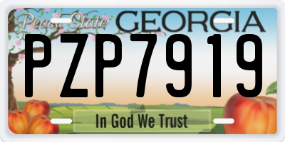 GA license plate PZP7919