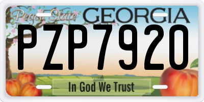 GA license plate PZP7920