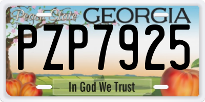 GA license plate PZP7925