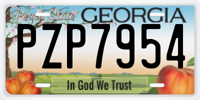 GA license plate PZP7954