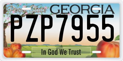 GA license plate PZP7955