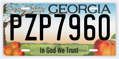 GA license plate PZP7960