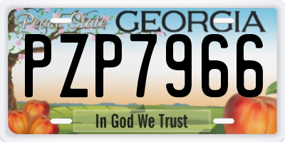 GA license plate PZP7966