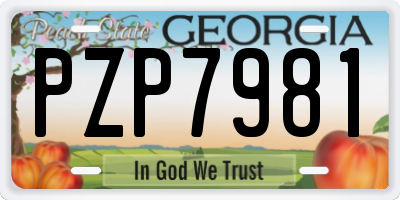 GA license plate PZP7981