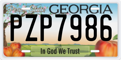 GA license plate PZP7986