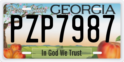 GA license plate PZP7987