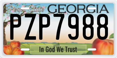 GA license plate PZP7988
