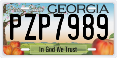 GA license plate PZP7989