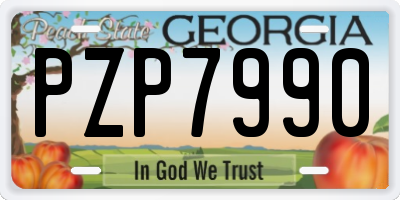 GA license plate PZP7990