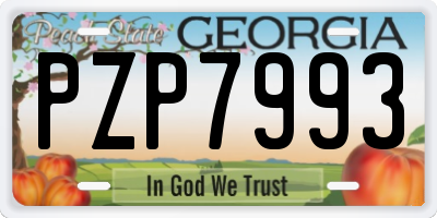 GA license plate PZP7993