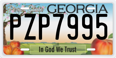 GA license plate PZP7995
