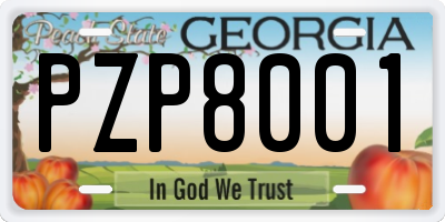 GA license plate PZP8001