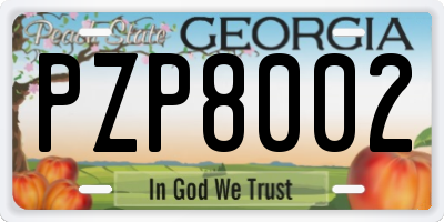 GA license plate PZP8002