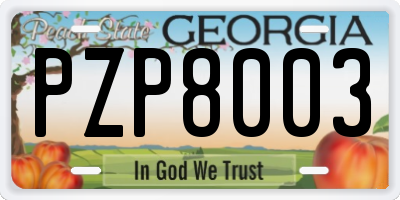 GA license plate PZP8003