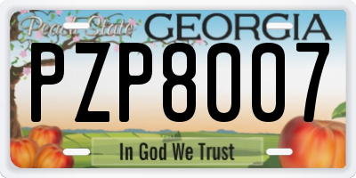 GA license plate PZP8007
