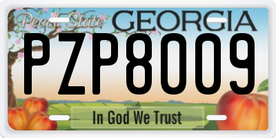 GA license plate PZP8009