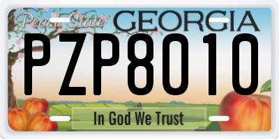GA license plate PZP8010